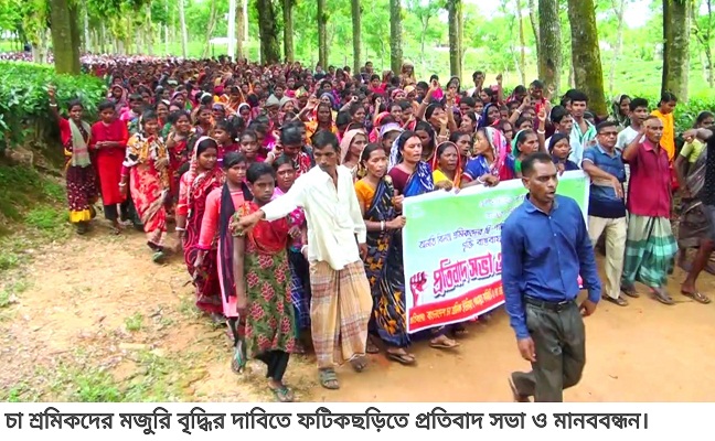 চা শ্রমিকদের মজুরি বৃদ্ধির দাবিতে ফটিকছড়িতে সভা ও মানববন্ধন 