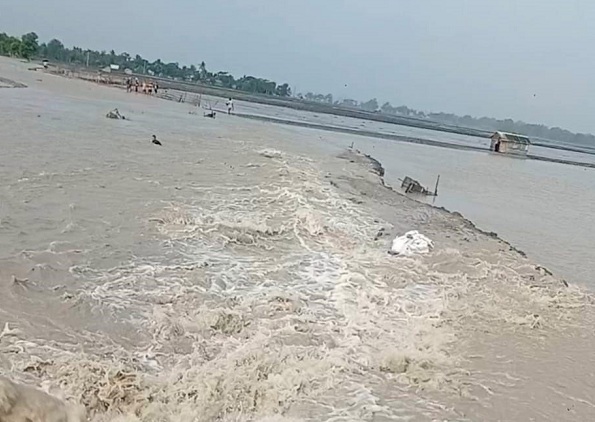 পাইকগাছায় তলিয়ে গেছে শত শত বিঘার চিংড়ি ঘের ও আমন বীজতলা