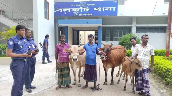 পত্রিকায় সংবাদ দেখে খুঁজে পেলেন চুরি হওয়া ৩ গরু