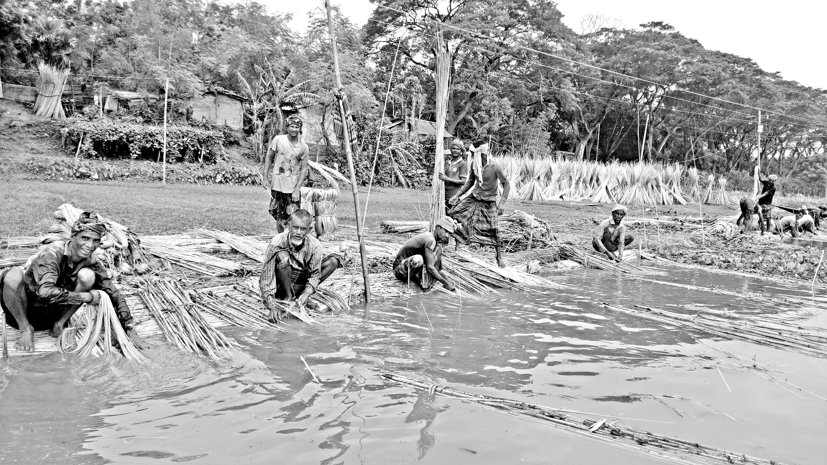 দামুড়হুদায় পাটের ফলন ভালো হলেও দামে হতাশ কৃষক