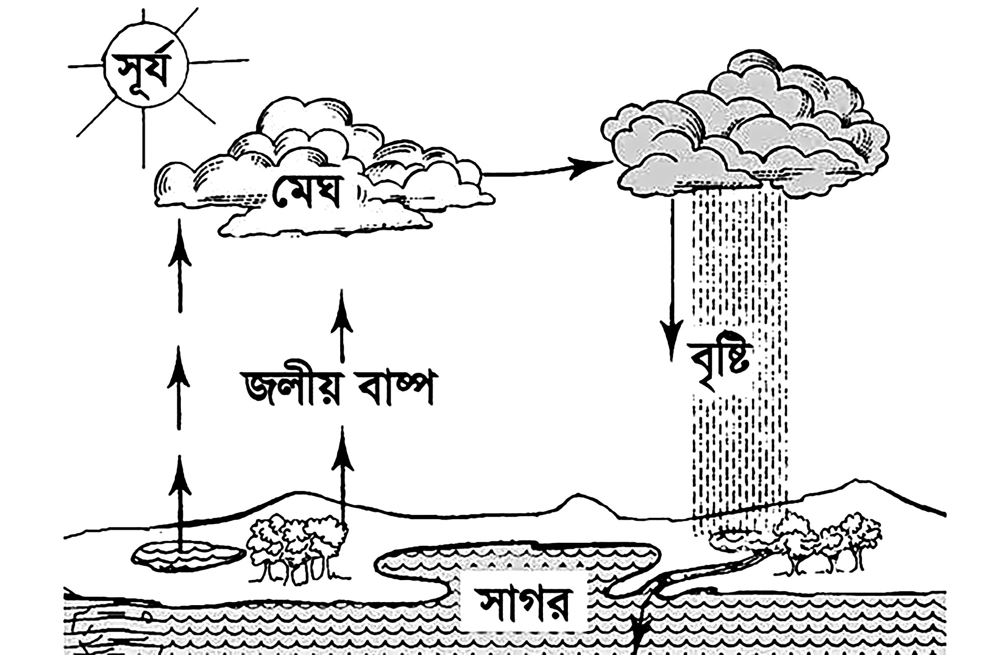 পঞ্চম শ্রেণির প্রাথমিক বিজ্ঞান