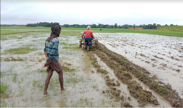 নড়াইলে কৃষকের মুখে হাসি,বৃষ্টি হওয়ায় বেঁচে গেছে কোটি টাকার ডিজেল