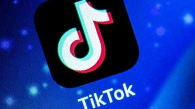 টিকটক ভিডিও বানাতে গিয়ে স্ত্রীকে চড়, স্বামীর ১ বছরের কারাদণ্ড
