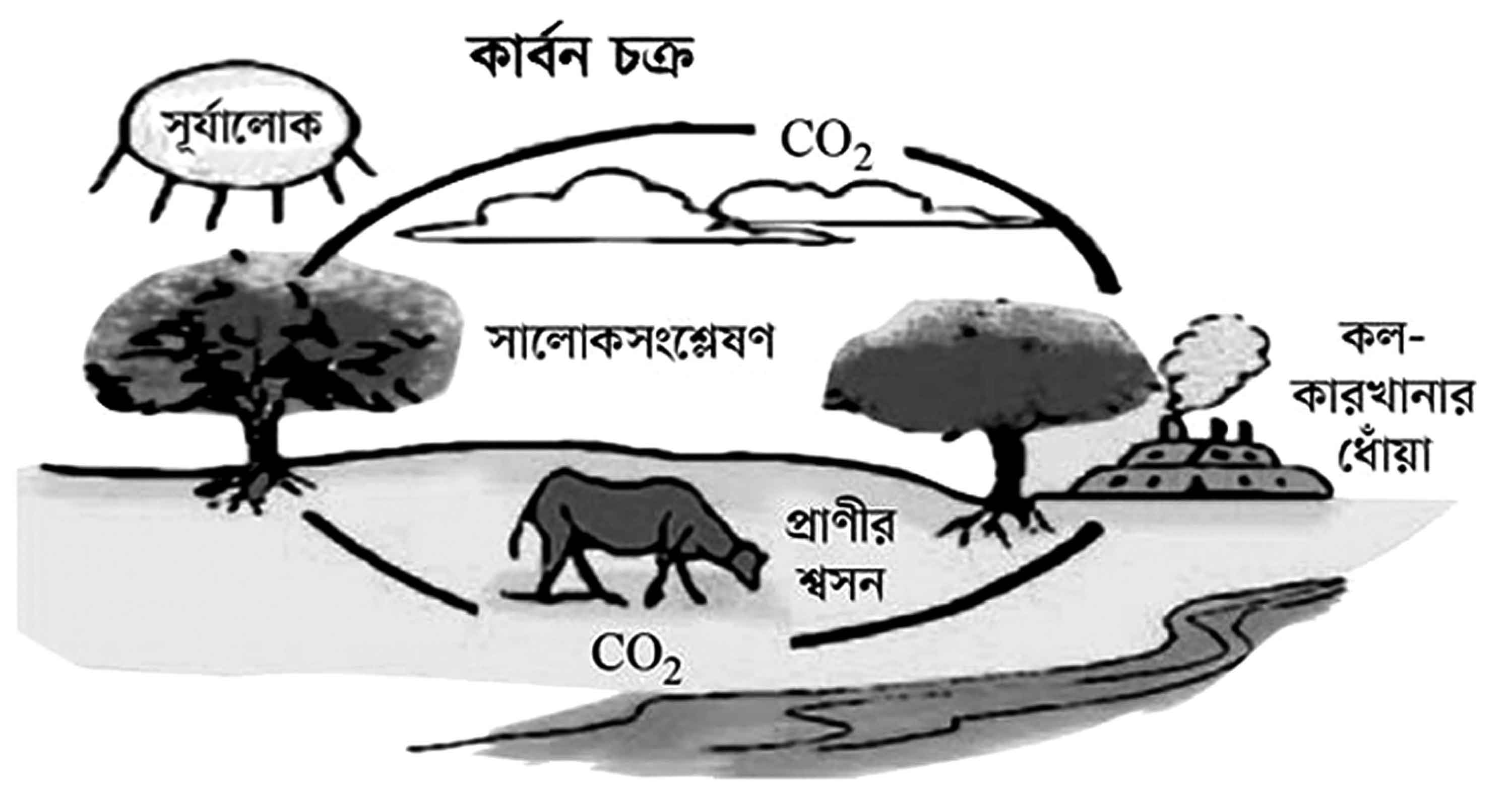 পঞ্চম শ্রেণির বিজ্ঞান