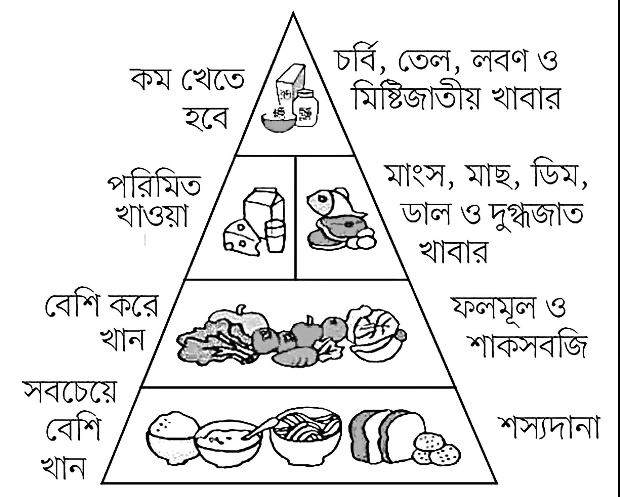 পঞ্চম শ্রেণির বিজ্ঞান