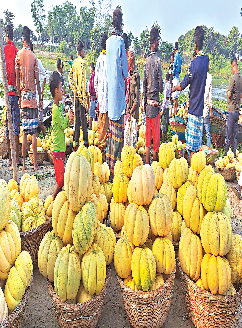 নবাবগঞ্জে বাঙ্গির জমজমাট বাজার