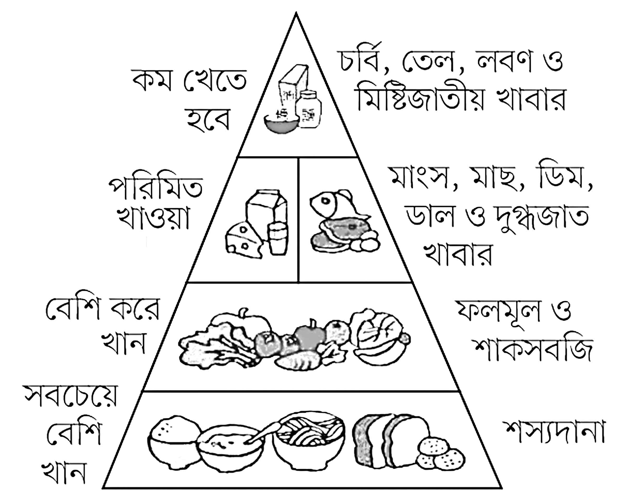 পঞ্চম শ্রেণির বিজ্ঞান