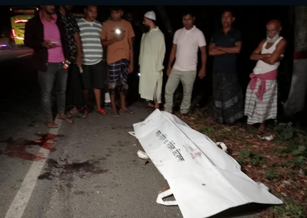 গোপালগঞ্জে পৃথক সড়ক দুর্ঘটনায় নিহত ৪