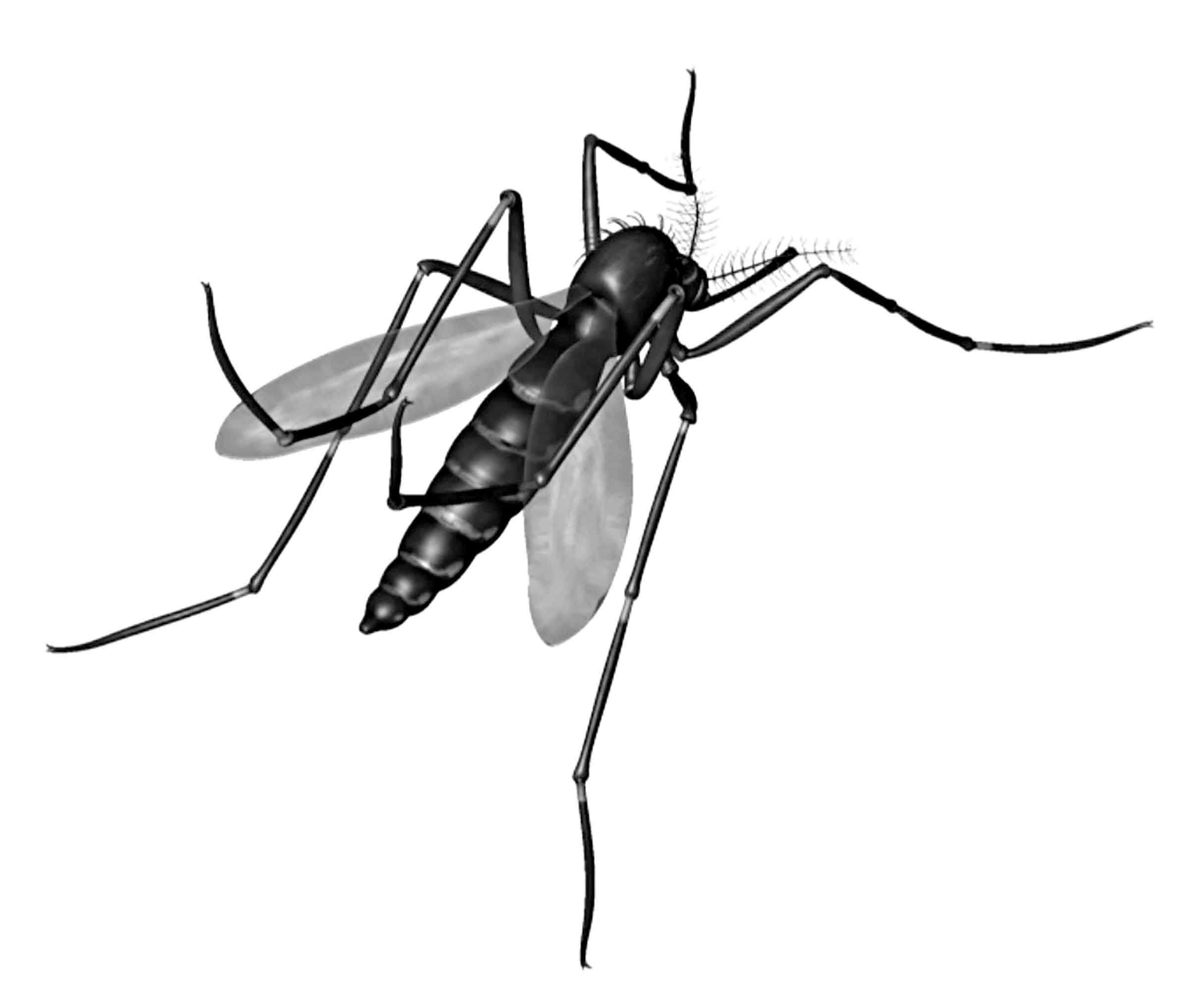 পঞ্চম শ্রেণির বিজ্ঞান