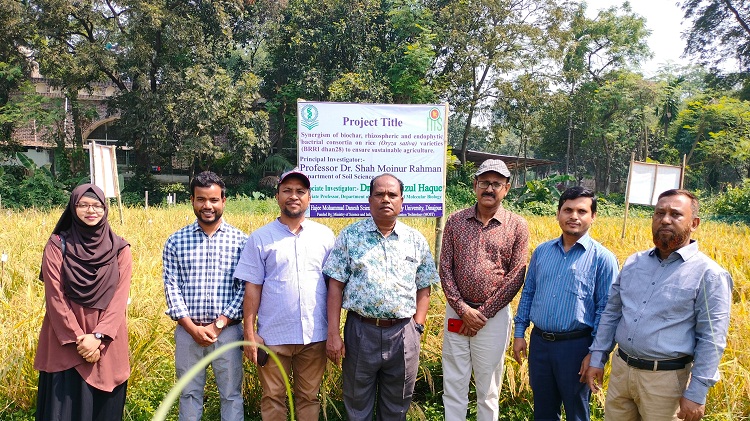 কীটনাশকমুক্ত ও অধিক ধান উৎপাদনে হাবিপ্রবি'র সাফল্য