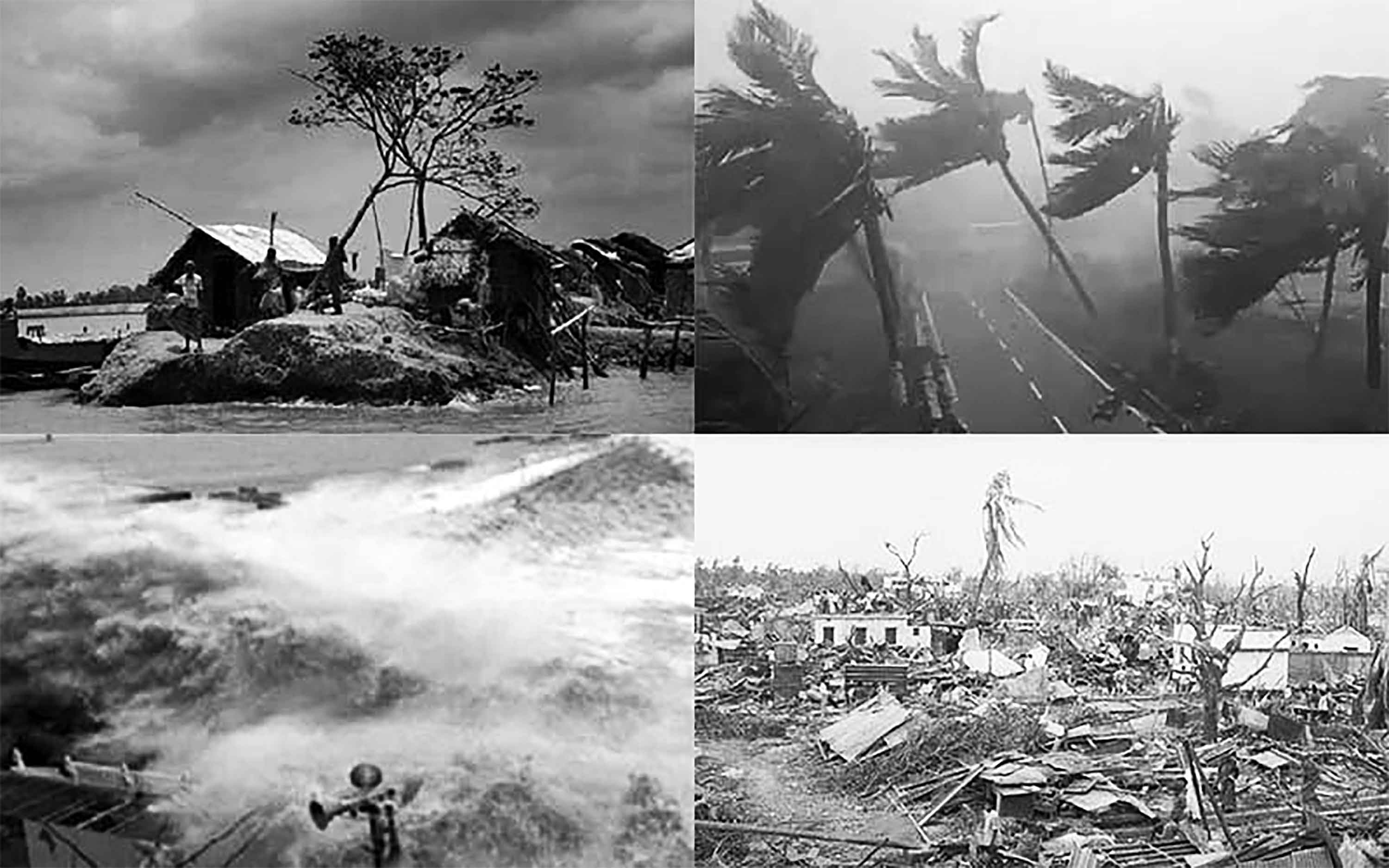 প্রাকৃতিক দুর্যোগ মোকাবিলা