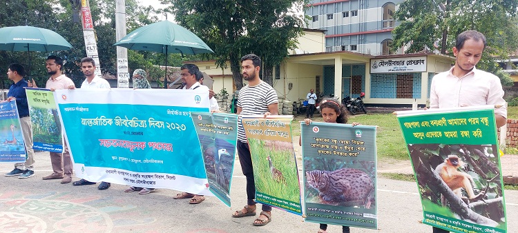 মৌলভীবাজারে আন্তর্জাতিক জীববৈচিত্র দিবস পালিত
