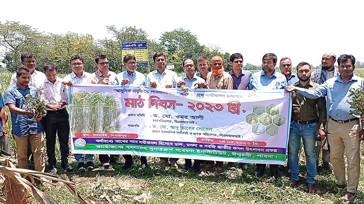 দিনাজপুরে ১০ মাইলে মাঠ দিবস প্রদর্শনী