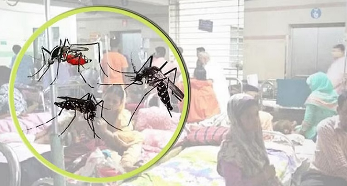 ফের চোখ রাঙাচ্ছে ডেঙ্গু, একদিনে হাসপাতালে ৮০ রোগী
