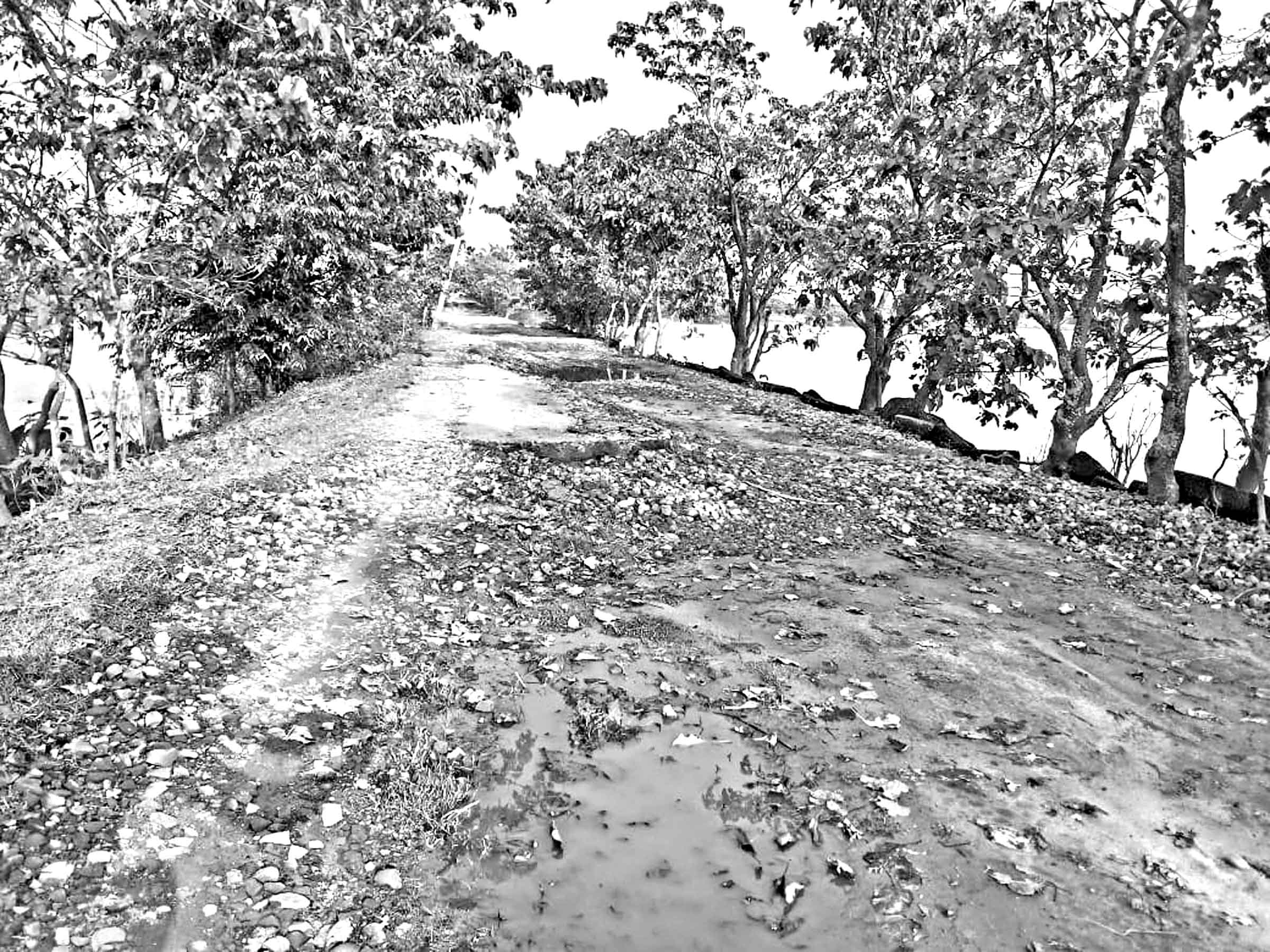 সুনামগঞ্জ ও আটঘরিয়ায় বেহাল সড়কে লাখো মানুষের ভোগান্তি
