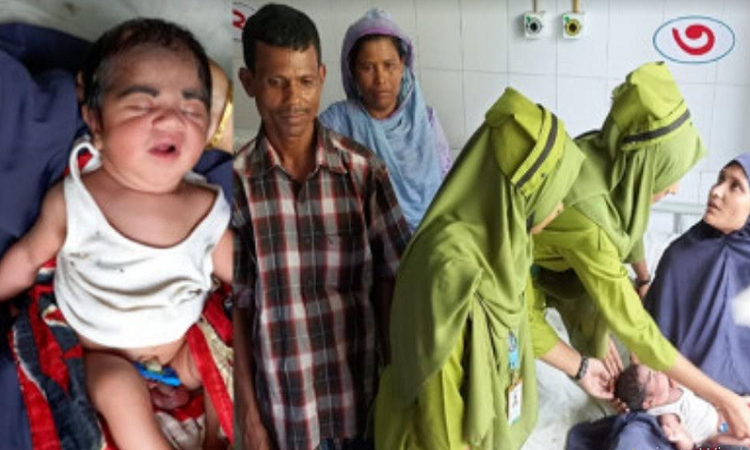 চাঁদপুরে গোয়াল ঘরের পাশে মিলল ব্যাগবন্দি নবজাতক