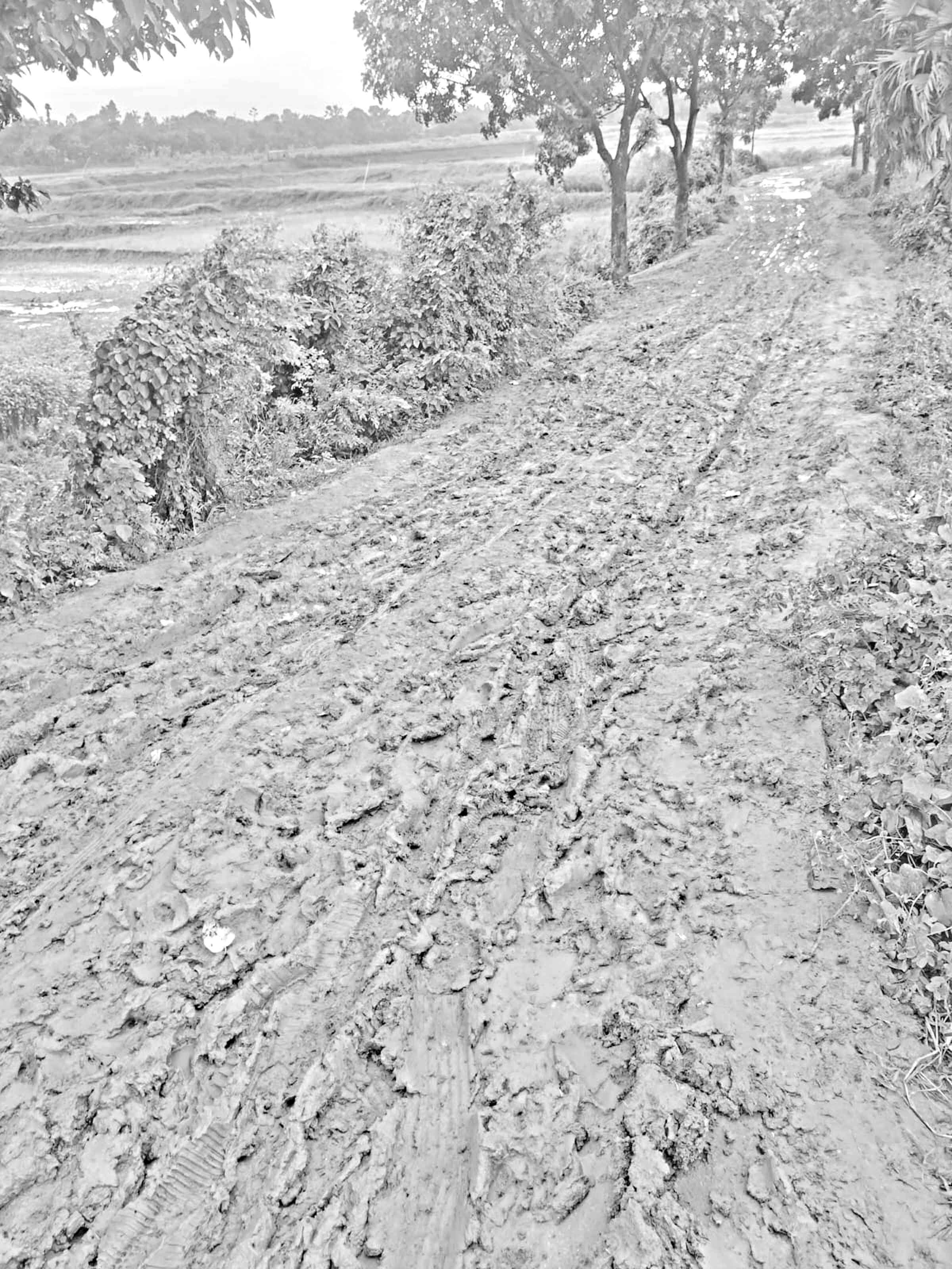 ধামরাইয়ে কাঁচা সড়কে চলাচলে দুর্ভোগ