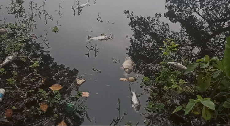 নাঙ্গলকোটে প্রেম করে পালিয়ে বিয়ে করার জেরে অপহরণ মামলা