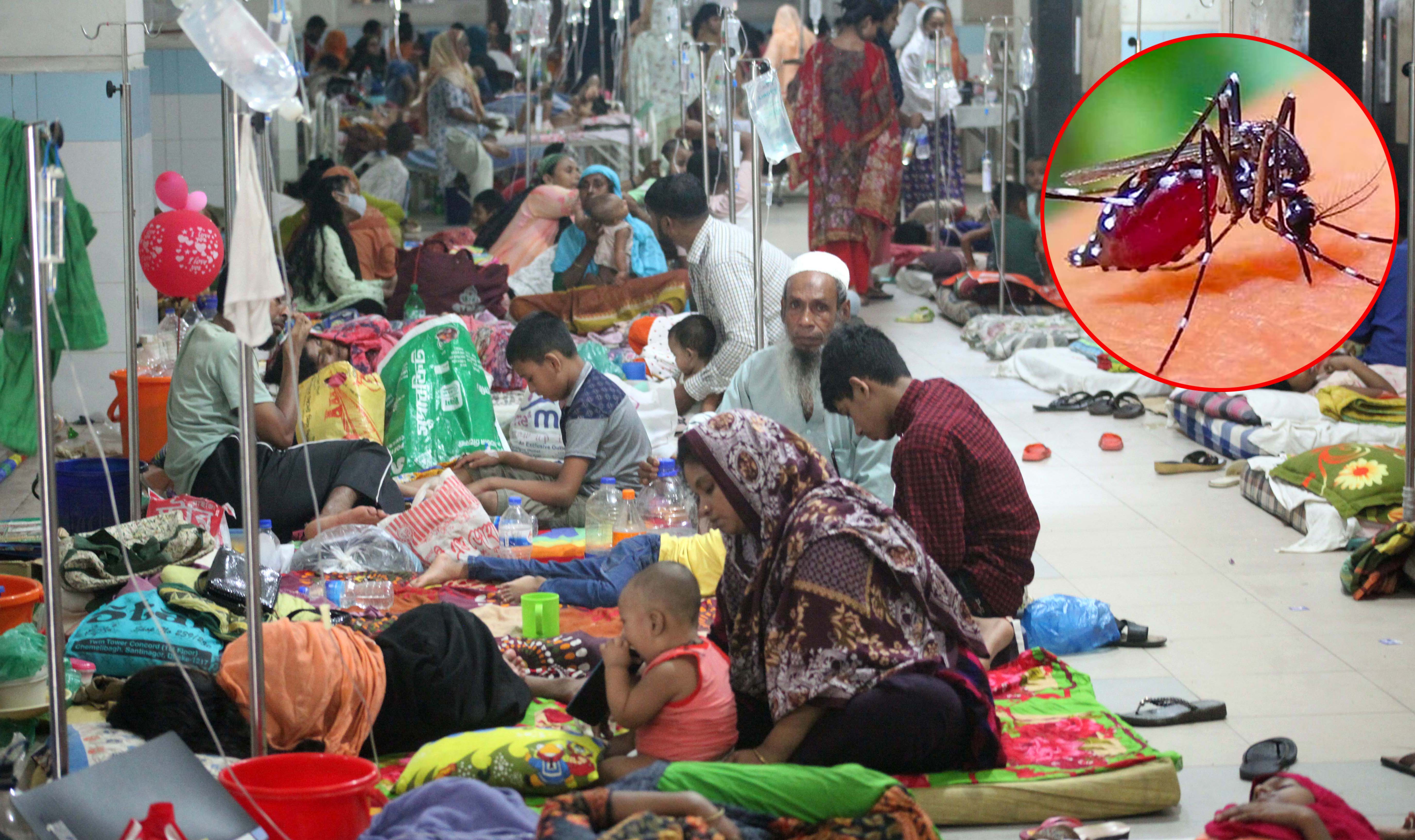 ডেঙ্গুতে ১৪ জনের মৃত্যু, হাসপাতালে ভর্তি ১৫৯৪