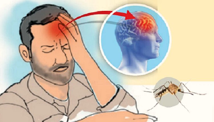 ৫ ধরনের জ্বরে শারীরিক জটিলতা বাড়ছে