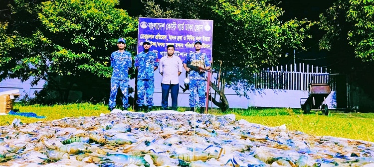 চাঁদপুরে ৪ হাজার ৫০০ কেজি জেলিযুক্ত চিংড়ি জব্দ