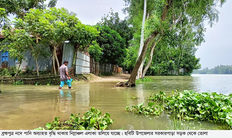 পানির নিচে কৃষকের স্বপ্ন, তলিয়েছে সাড়ে ৪’শ হেক্টর ধানের চারা