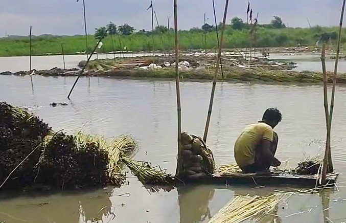 স্রোতে ভেসে যাচ্ছে পাটের আটি