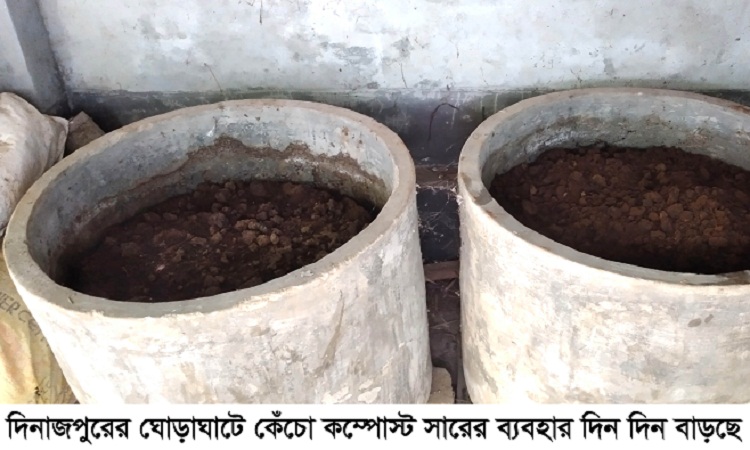 ঘোড়াঘাটে কৃষি জমিতে বাড়ছে কেঁচো কম্পোস্ট সারের ব্যবহার