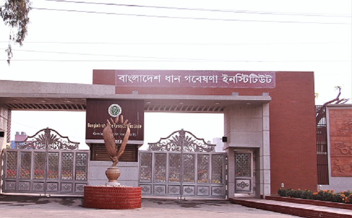 কৃষি মন্ত্রণালয়ের এপিএ বাস্তবায়নে ব্রি শীর্ষে   
