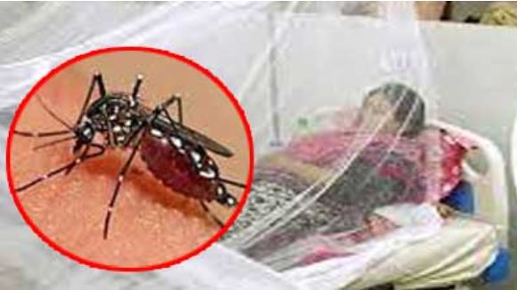 আজও ডেঙ্গুতে ১২ মৃত্যু, হাসপাতালে ভর্তি ২৮২৩