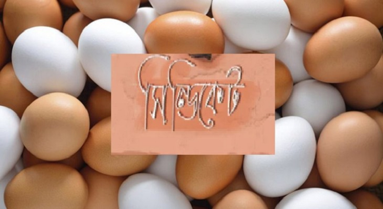 ডিম সিন্ডিকেটের বিরুদ্ধে মামলার প্রস্তুতি