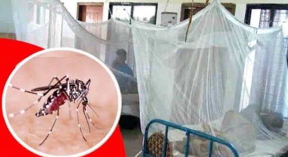 আরও ৭ মৃত্যু ডেঙ্গুতে, হাসপাতালে ভর্তি ৩০২৭