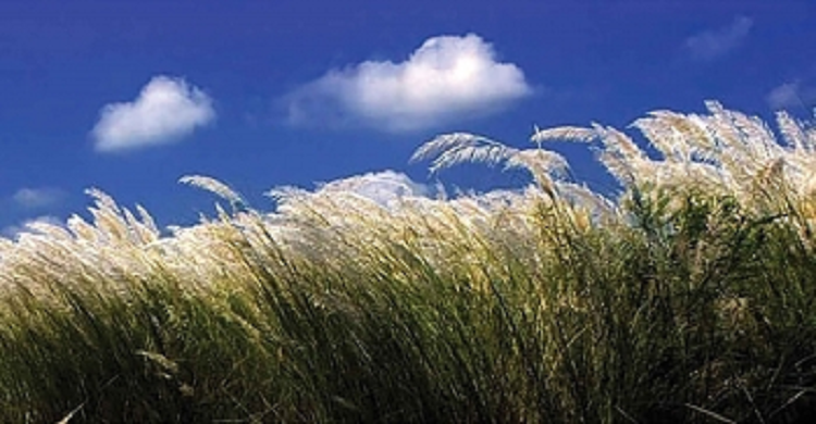 অন্য রকম আশ্বিন