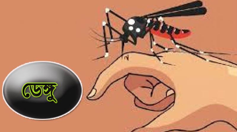 আজও ১৫ জনের মৃত্যু ডেঙ্গুতে , হাসপাতালে ভর্তি ২৯৫০