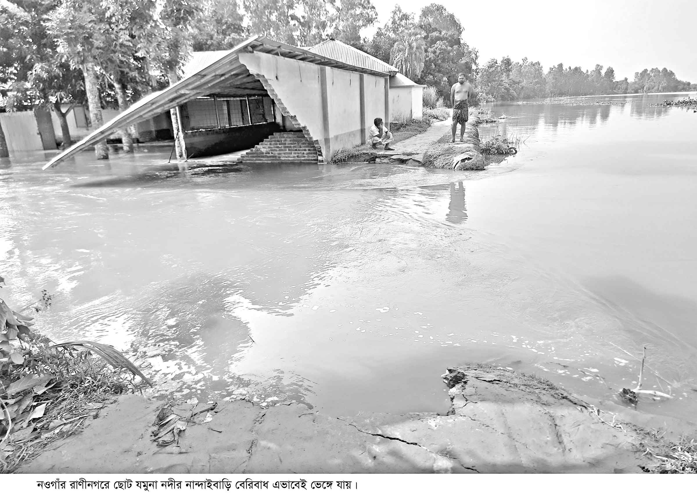 রাণীনগরে বেড়িবাঁধ ভেঙে পস্নাবিত জনপদ