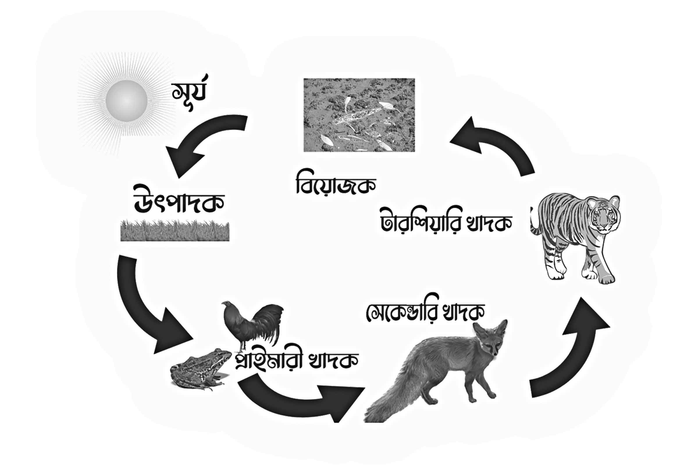 অষ্টম শ্রেণির বিজ্ঞান