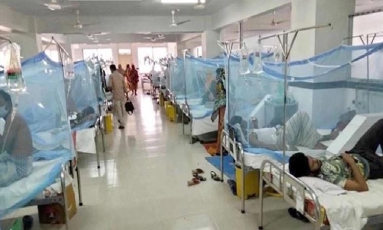 ডেঙ্গুতে আরও ১৭ জনের মৃত্যু