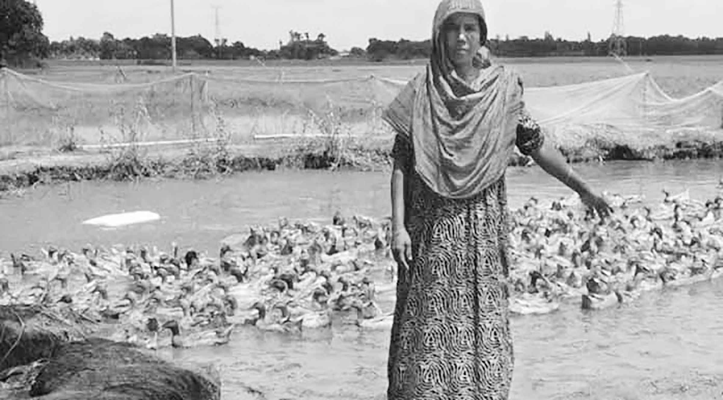 স্বনির্ভর হচ্ছে নারী