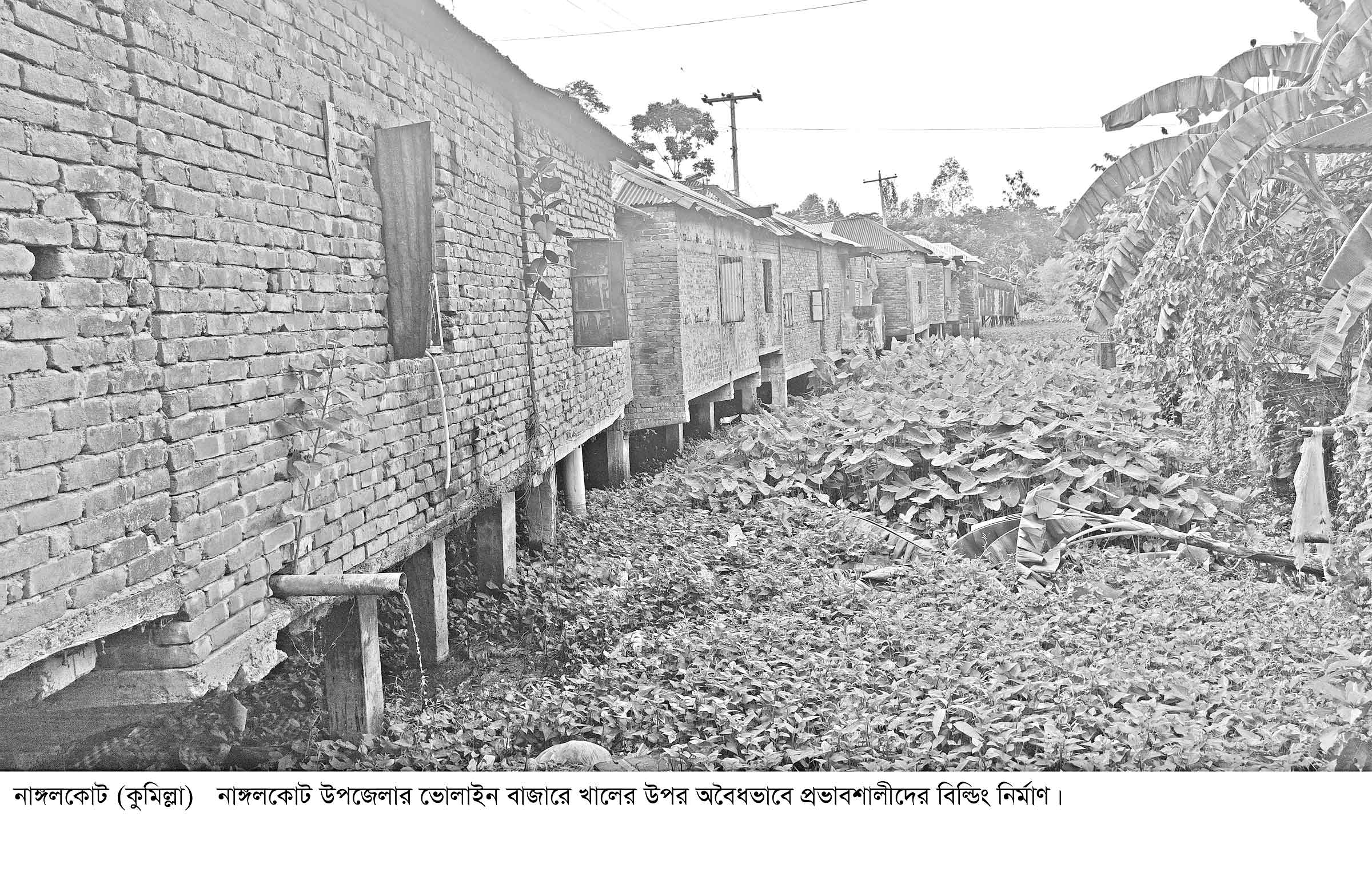 নাঙ্গলকোটে প্রভাবশালীদের দখলে ভোলাইন খাল