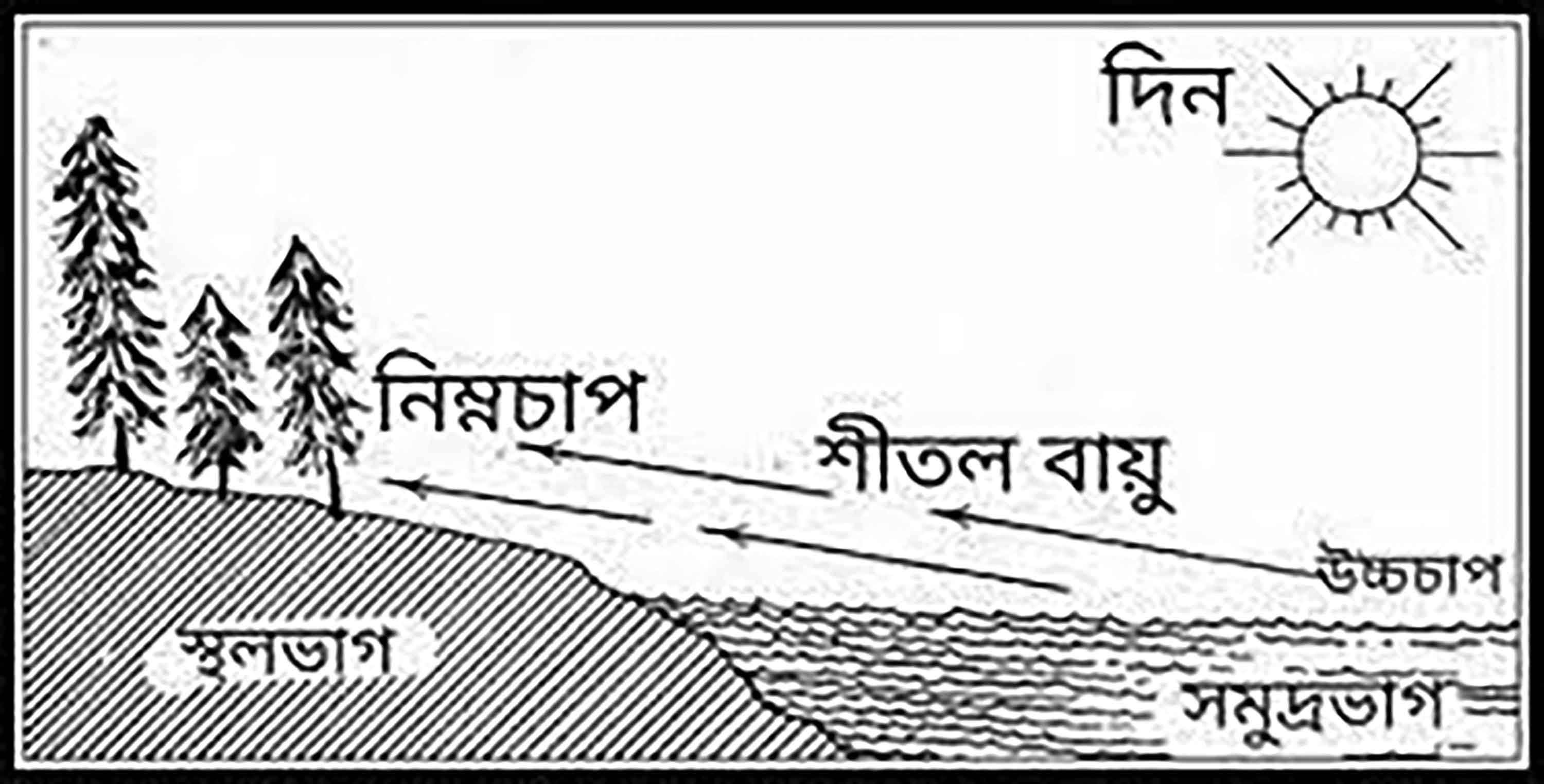 চতুর্থ শ্রেণির বিজ্ঞান
