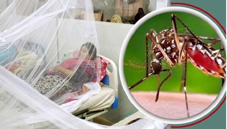 ৯ জনের মৃত্যু ডেঙ্গুতে , হাসপাতালে ভর্তি ১৭৯৪