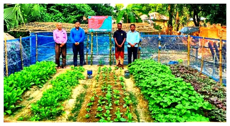 নাচোলে গড়ে উঠেছে পুষ্টি নিরাপত্তায় মডেল বাগান 