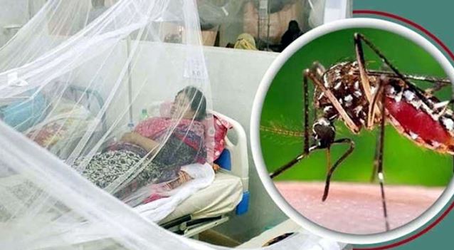 আরও ৬ জনের মৃত্যু ডেঙ্গুতে , হাসপাতালে ভর্তি ১৫১২