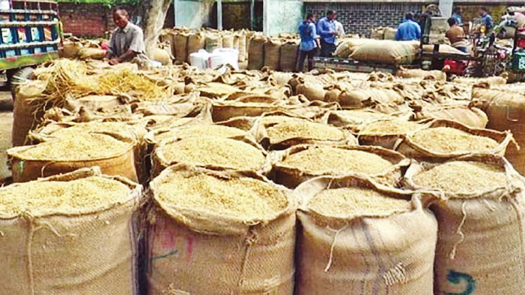 বাজারে আমনের দাম কম, দুশ্চিন্তায় কৃষক 