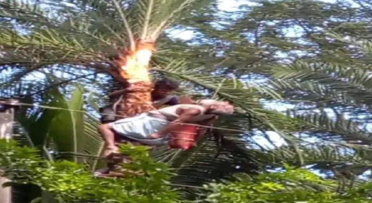 দুমকিতে বিদ্যুৎস্পৃষ্ট হয়ে গাছির মৃত্যু!