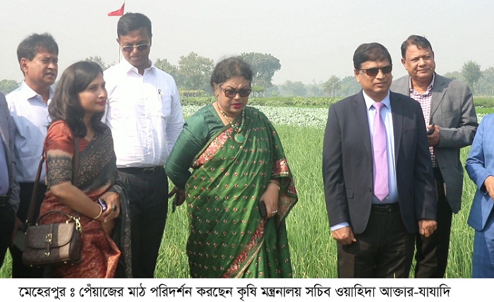 মেহেরপুরে প্রনোদনার পেঁয়াজ চাষে স্বপ্ন পুরণ চাষীদের