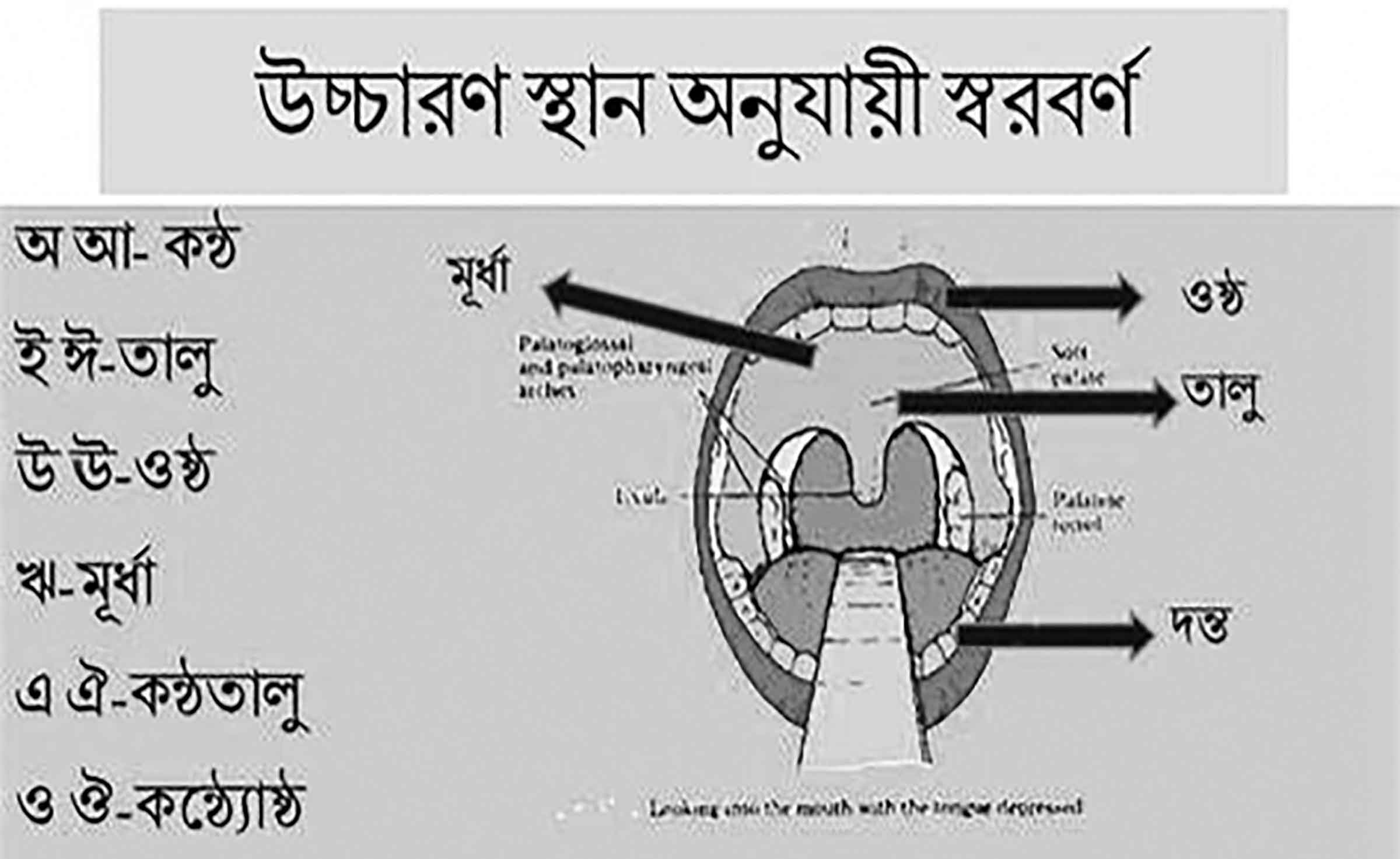 অষ্টম শ্রেণির বাংলা দ্বিতীয় পত্র