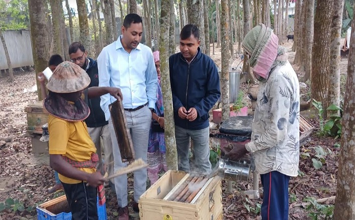 চরভদ্রাসনে মৌচাষে উৎসাহী হচ্ছেন কৃষকেরা