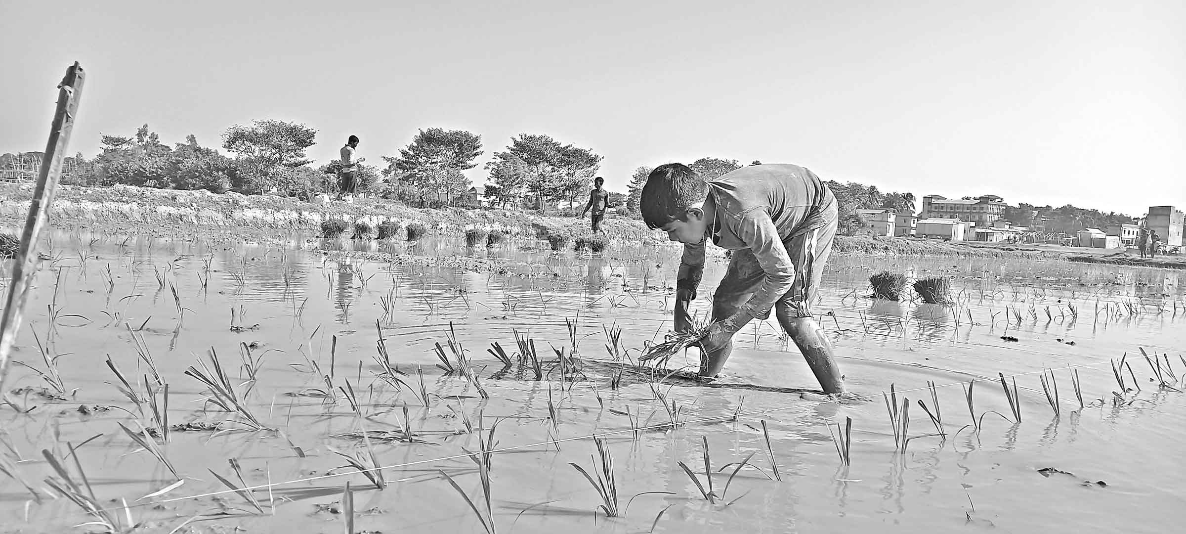 স্কুলছাত্র সুবজিৎ সরকারের হাতে সংসারের হাল