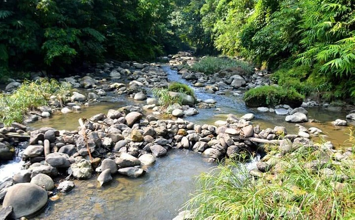 অপার সৌন্দর্যের নীলা ভূমি লামার রুপসী পাড়া 